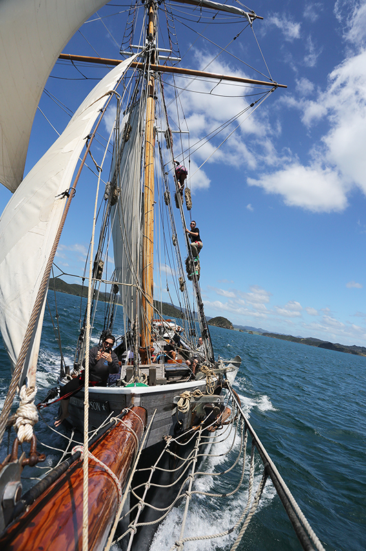 Sail on the R Tucker Thompson, Bay of Islands, NZ